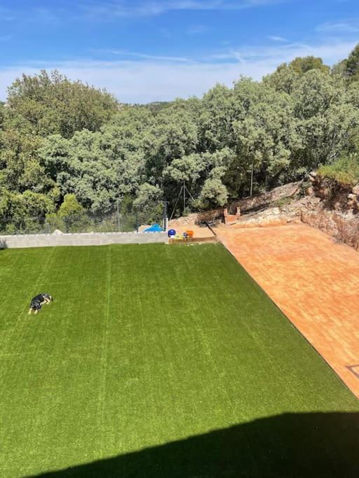 Casa Rural Playa De Altomira Albalate De Zorita Dış mekan fotoğraf